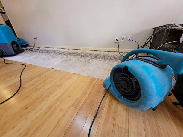 Professional Structural Drying technician working in Fife Lake, MI